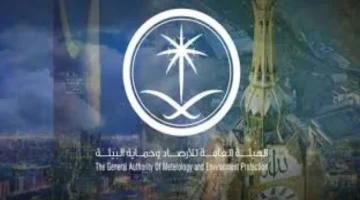 تحذير عاجل من الأرصاد السعودية.. موجة ضباب كثيف تضرب عدة مناطق بالمملكة خلال الساعات القادمة